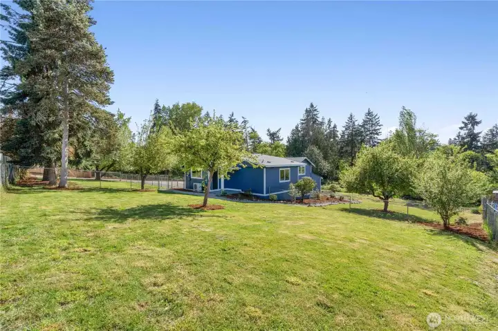 The Backyard has two fully fenced and separate yards.
