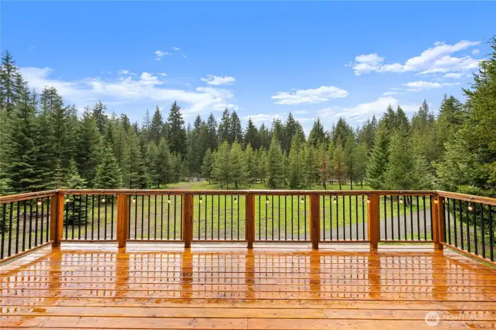 Expansive deck space surrounded by evergreens.