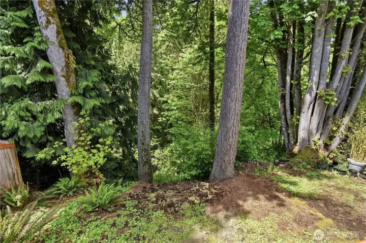 This is at the edge of the property in back.