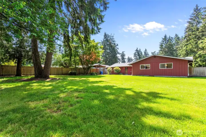 Large backyard Large backyard