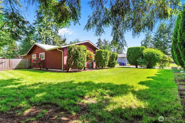 Front yard with privacy hedge. Front yard with privacy hedge.