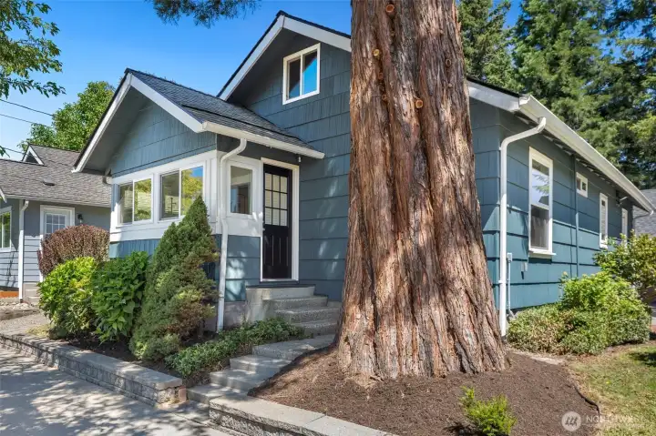 Welcome to 38376 SE Cedar St, Snoqualmie, WA 98065! Welcome to 38376 SE Cedar St, Snoqualmie, WA 98065!