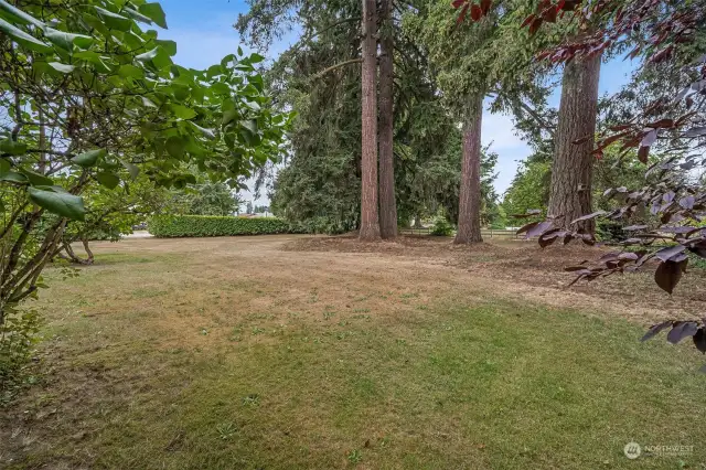 Stunning yard with tons of privacy!