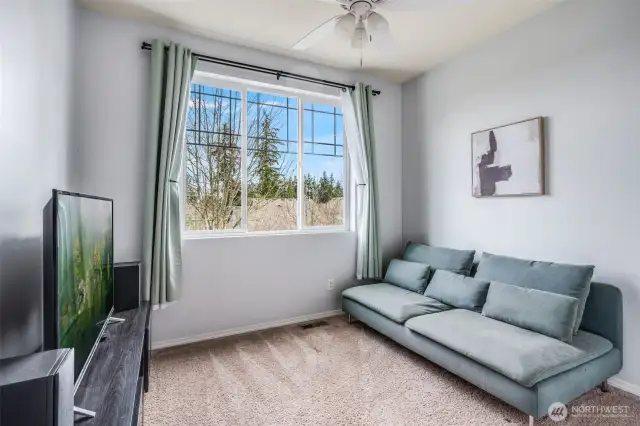 Bedroom 3 offers plush carpeting, a ceiling fan for comfort, and a large window that fills the space with natural light—perfect for use as a guest room, home office, or media space.