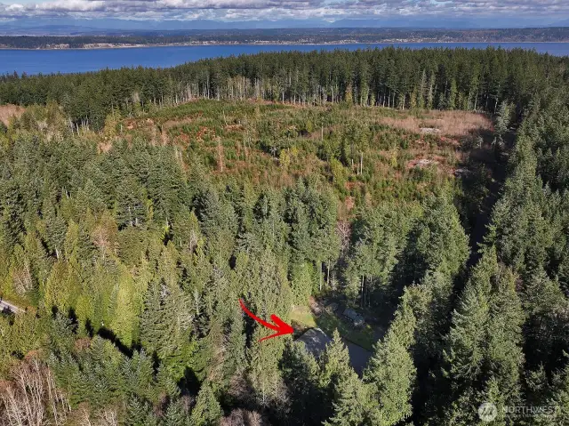 Located between Langley and Freeland.