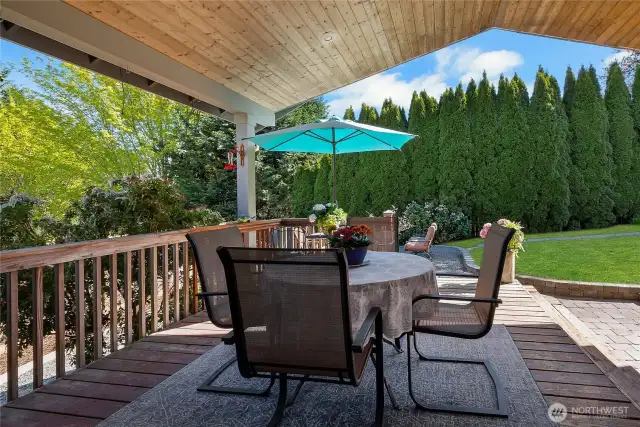 A backyard oasis