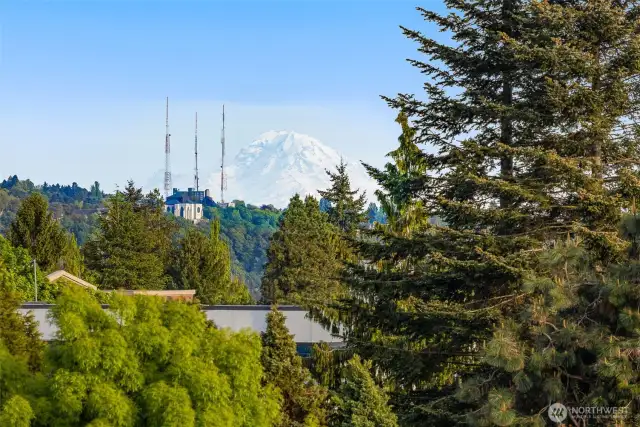 Catch awe-inspiring views of Mt. Rainier on a clear day—a stunning reminder of Seattle's natural beauty.