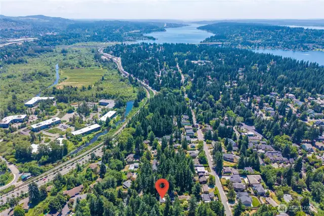 Located just minutes from Downtown Bellevue’s world-class shopping, dining, and parks