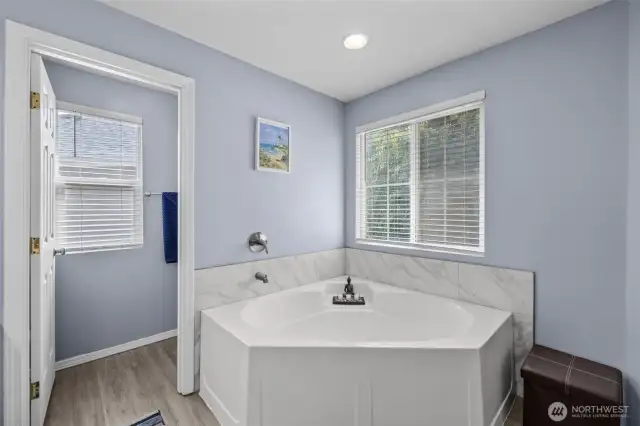 Relax in the bathtub while enjoying the natural light!