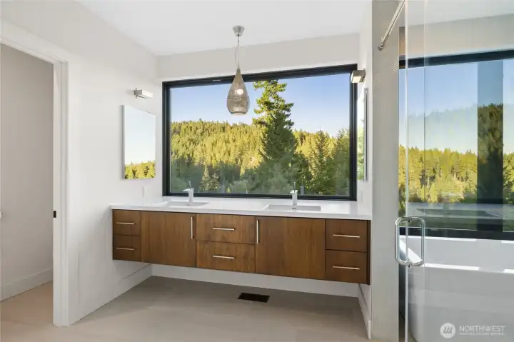 Ensuite Bath with a view.