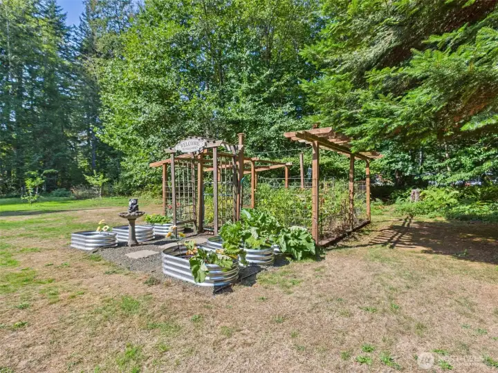 Fenced garden area and raised beds.