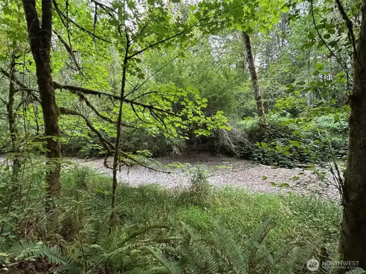 Swift creek