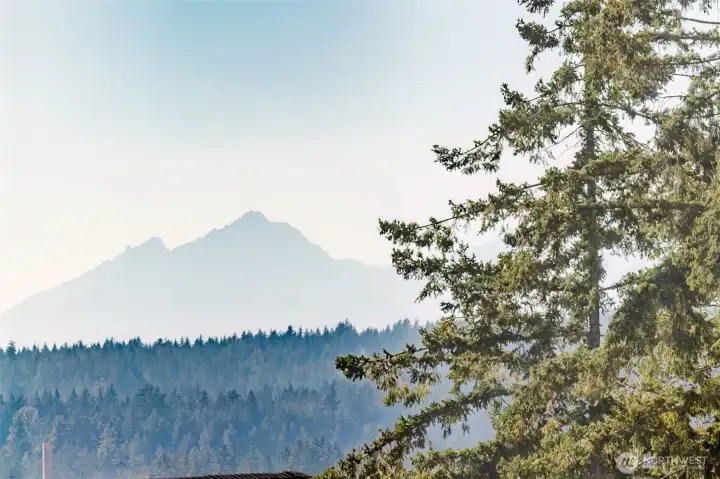 Gorgeous Mountain View from upstairs