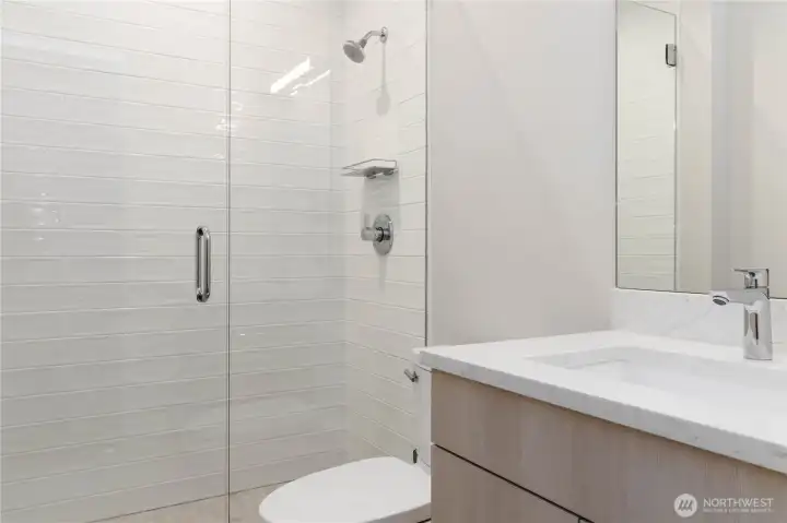 Lower level bathroom