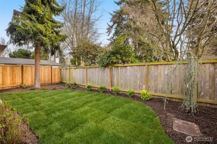 Fenced Private Yard