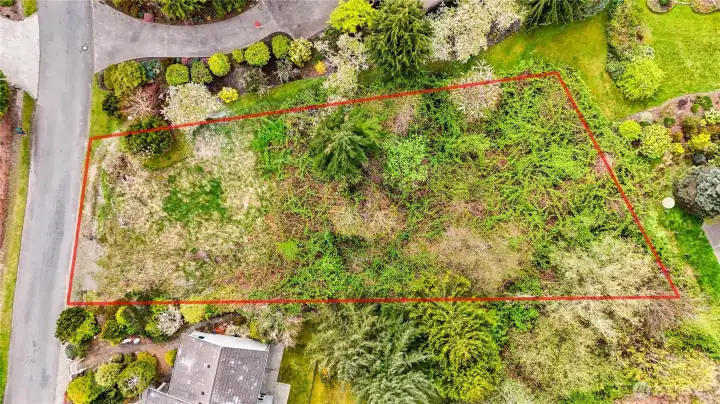 37 Jackson Lane - Lot with approximate boundary lines.