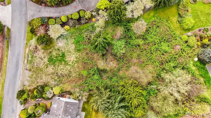 Overhead view of parcel I- nicely sized at .34 acres/14,810 sf.