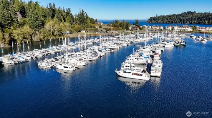 The marina with 300 boat slips also has kayak, paddle board and boat rentals.