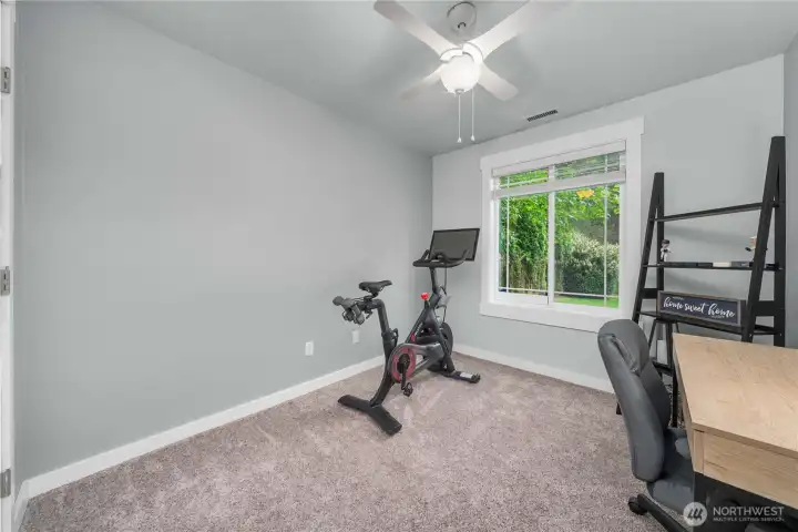 The third bedroom on the lower level is currently being used as a flex room. A perfect space for home office or fitness room.