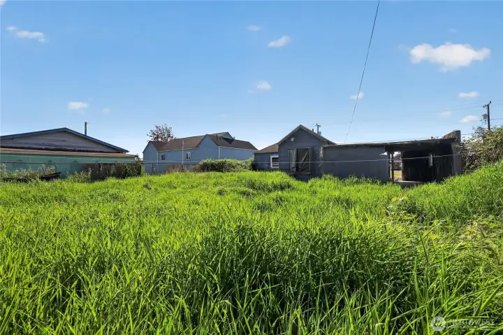 Back yard