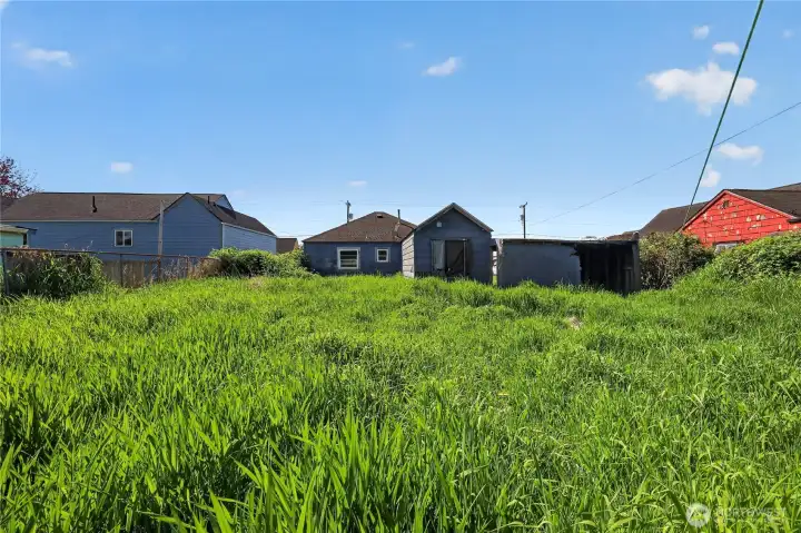 Back yard