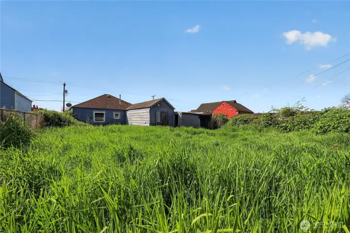 Back yard