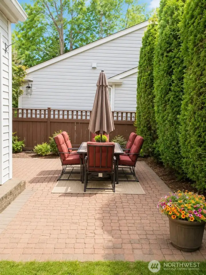 Backyard Backyard