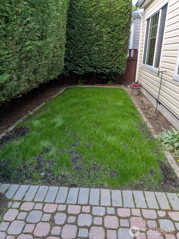 Newly seeded grass!