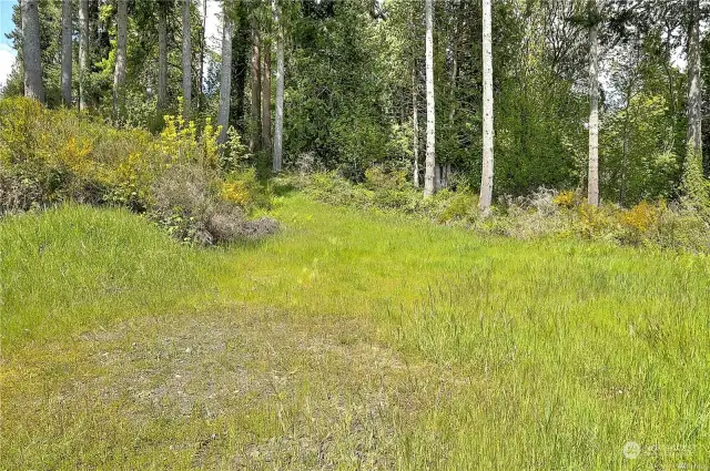 This is a landing on the way to the walking   nature trail. Enjoy lunch and the amazing   view from this private spot.