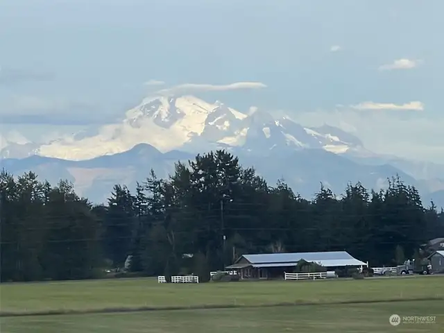 Mt Baker View...