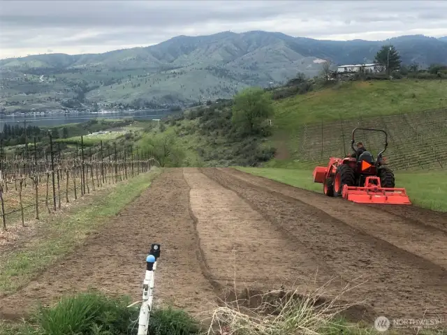 Lots of work goes into managing the vines towards production. If you're not into farming, besides the Sellers, there are many who would help with this.