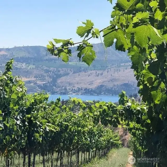 Fourteen + acres of extraordinary views of Lake Chelan with a bonus of 4+ acres of vineyards.  There are 4 varieties of grapes produced here which translates into gallons of the best wines in the Valley!