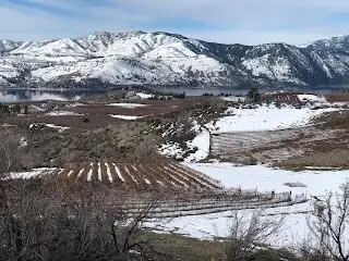 Winter views are part of the beauty of our areas and provides a protective blanket for the vines.