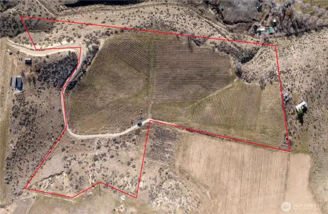 14.21 acres of prime vineyard land with 4+ acres planted and yielding 800 cases a year.