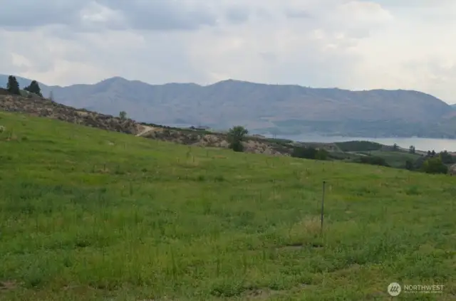 Lush Springtime of the 14.21 acres with 9 acres of irrigation water rights, 4+ acres planted.