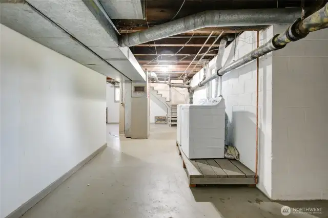 Unfinished Basement