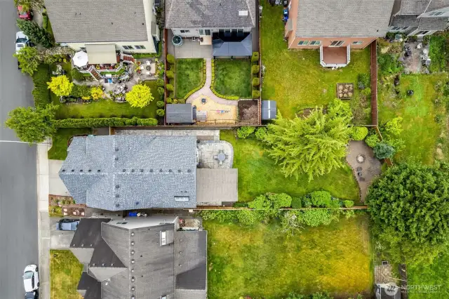 Aerial view.