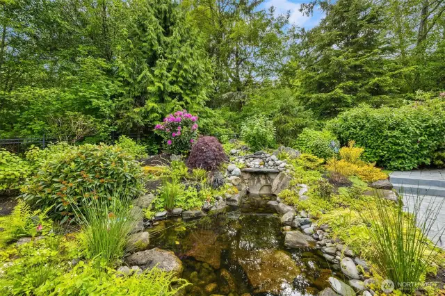 The water feature is a relaxing  treat in the back yard. This area can be access from the den or from double glass doors off the entry. The is nature at its best.