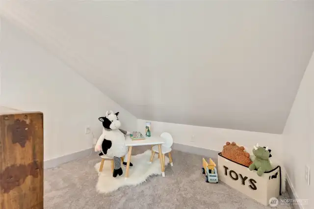 Play Area