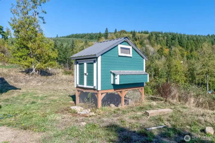 Chicken Coop