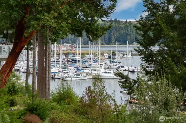 Marina view from the deck.