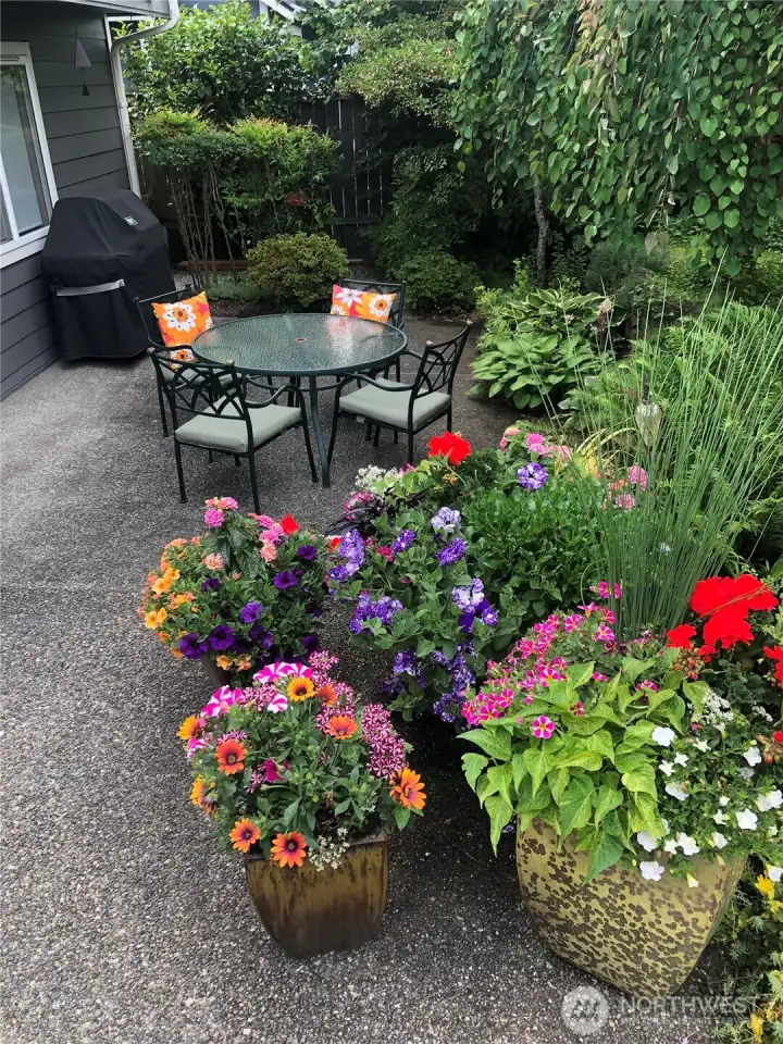 Customer provided photo showcasing this amazing backyard and entertaining area.