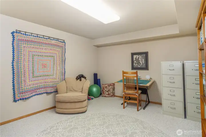 Studio or craft room. This room could be used for art studio, exercise or study.