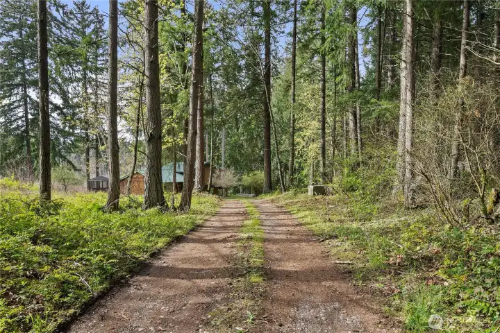Long driveway leads to the property.