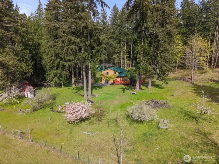 Lots of mature fruit trees including (apple, pear, cherry, plum and huckleberries).