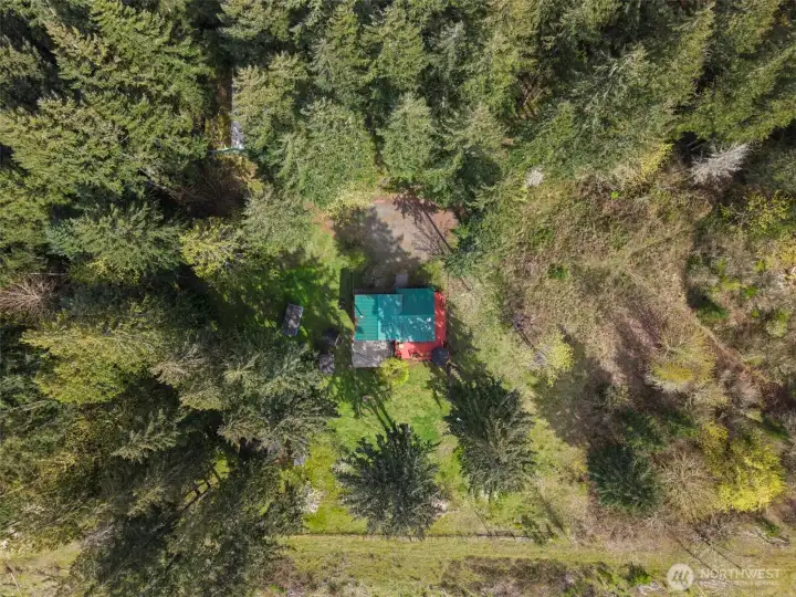 Stunning setting nestled among the evergreens, but still some open space.