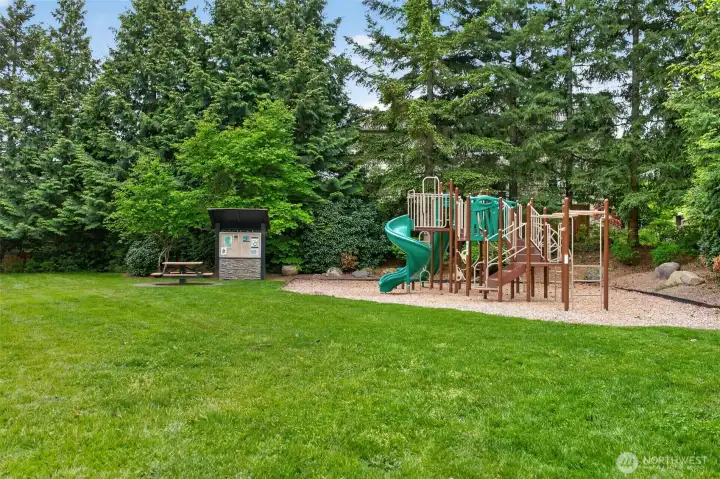 Community playground.