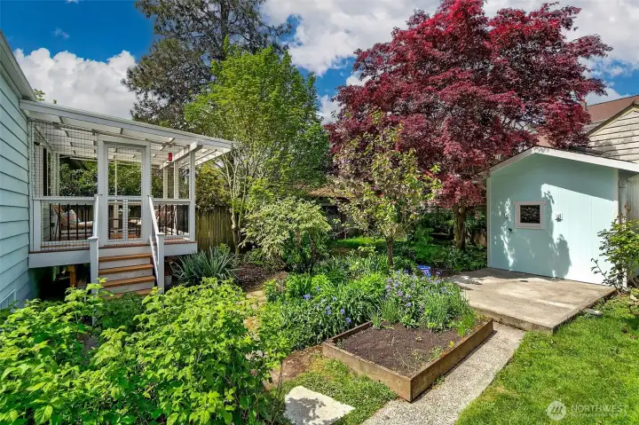 Garden space and storage shed