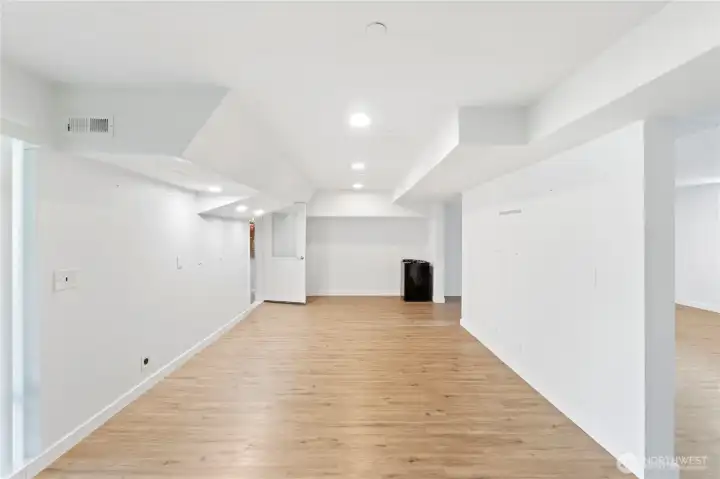 Bonus room lower level