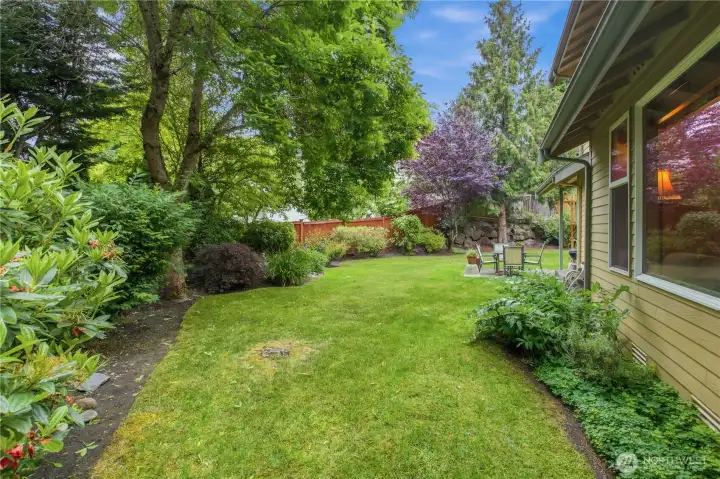Beautifully Landscaped Back Yard